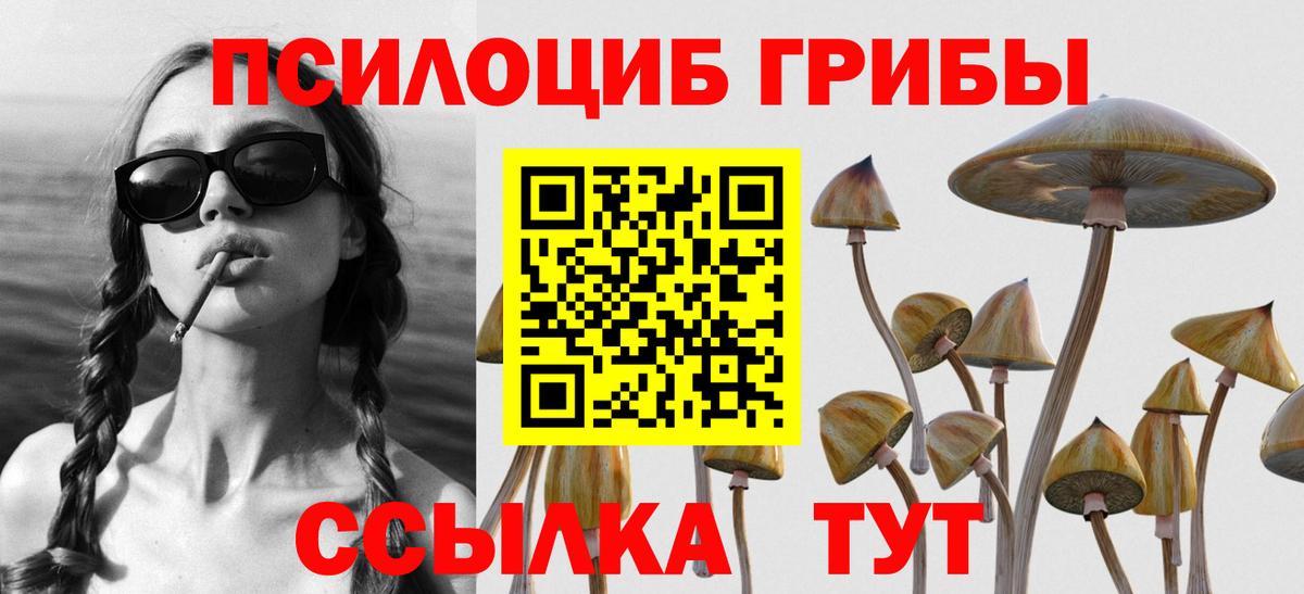 Псилоцибиновые грибы Magic Shrooms Богородск